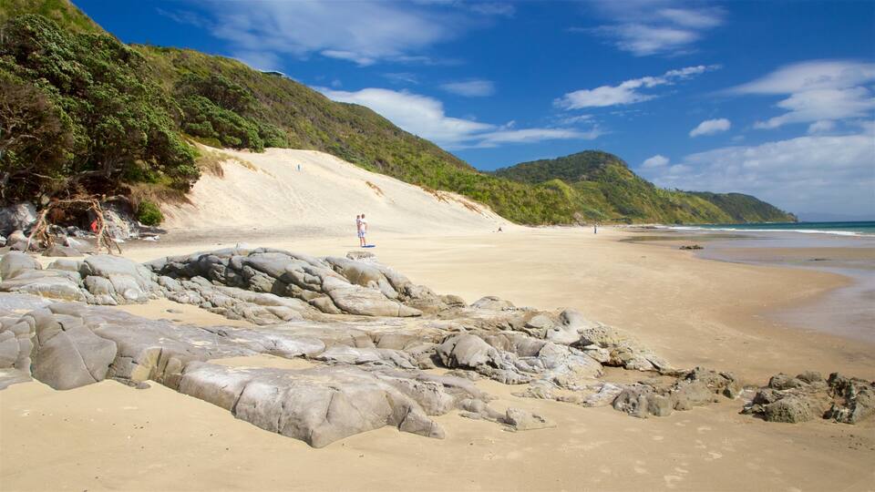 A beach with rocky foreground, sandy shore, and a forested hillside.