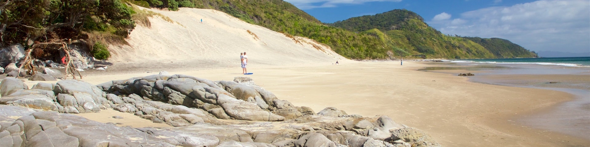 Plage de Mangawhai Heads montrant plage et vues littorales