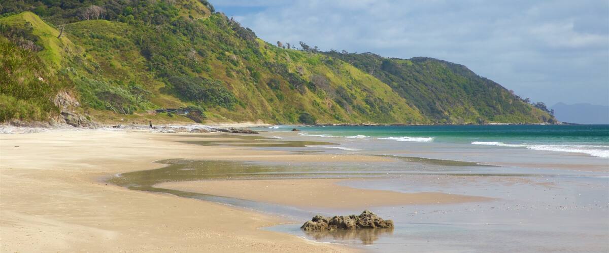 Mangawhai Heads Beach featuring tranquil scenes, general coastal views and a sandy beach