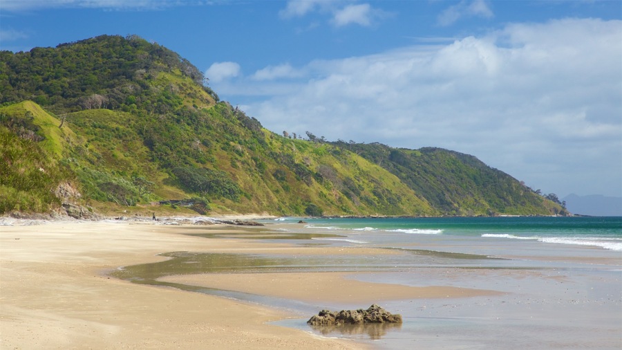 Mangawhai Heads Beach featuring a sandy beach, tranquil scenes and general coastal views