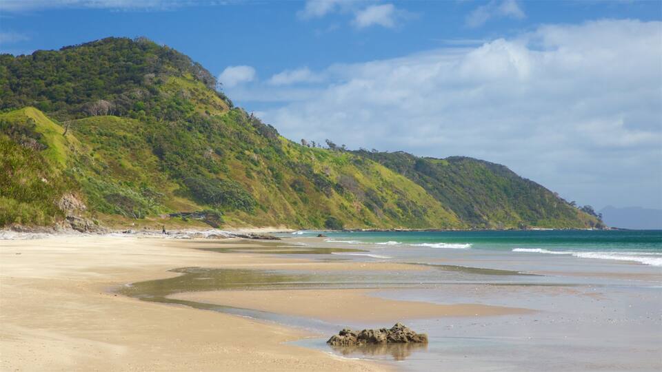 A beach with clear turquoise waters, a sandy shore, and a green hillside in the background.
