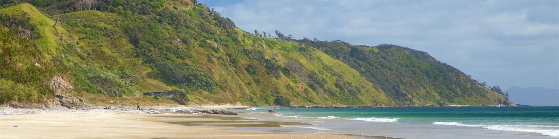 Mangawhai Heads Beach que inclui paisagens litorâneas, cenas tranquilas e uma praia de areia
