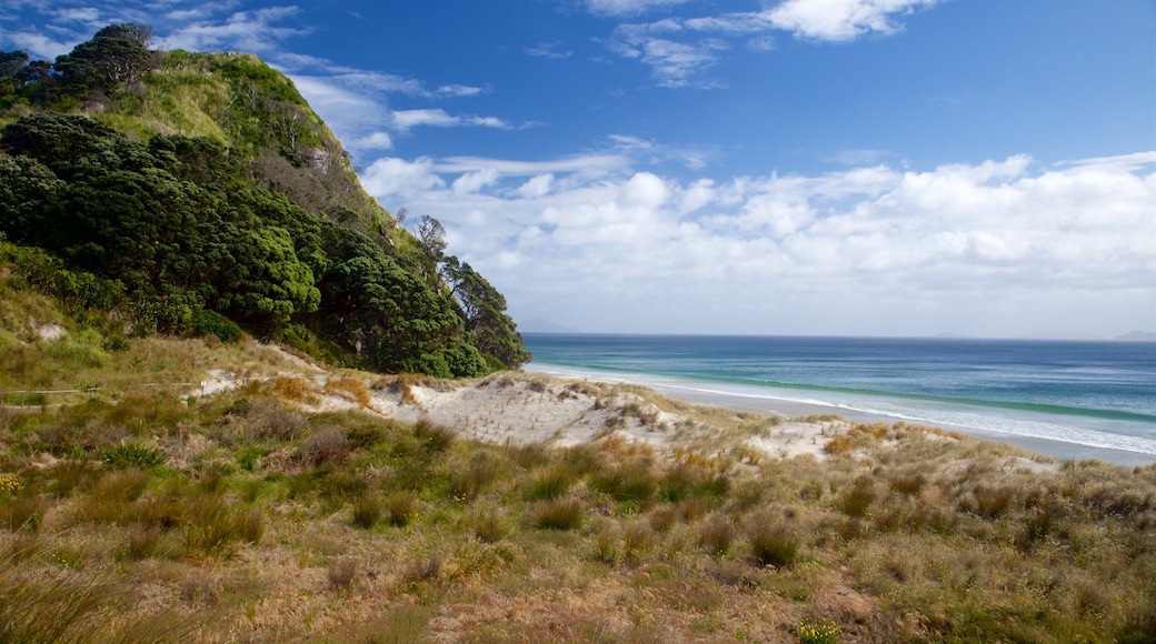 Mangawhai Heads Beach showing a sandy beach and general coastal views