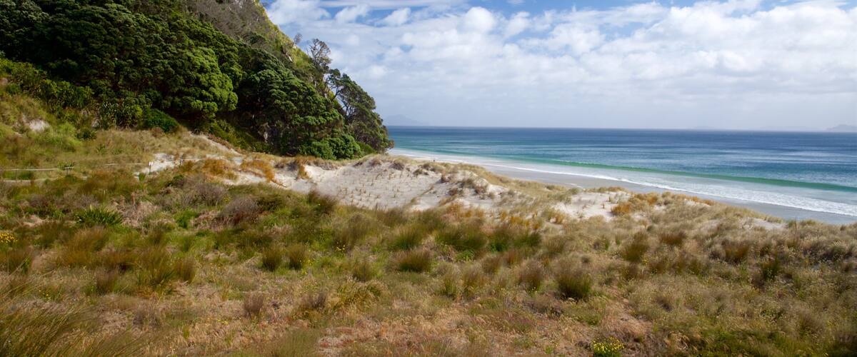 Plage de Mangawhai Heads