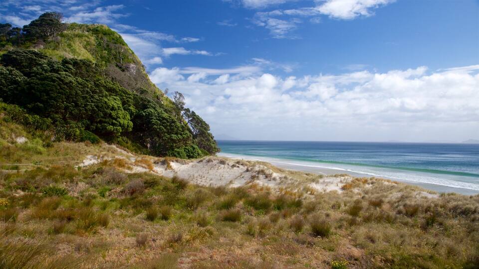 A coastal landscape with a grassy foreground, a sandy beach, and a forested hill.