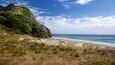 Paisagem costeira com primeiro plano gramado, praia arenosa e colina arborizada.