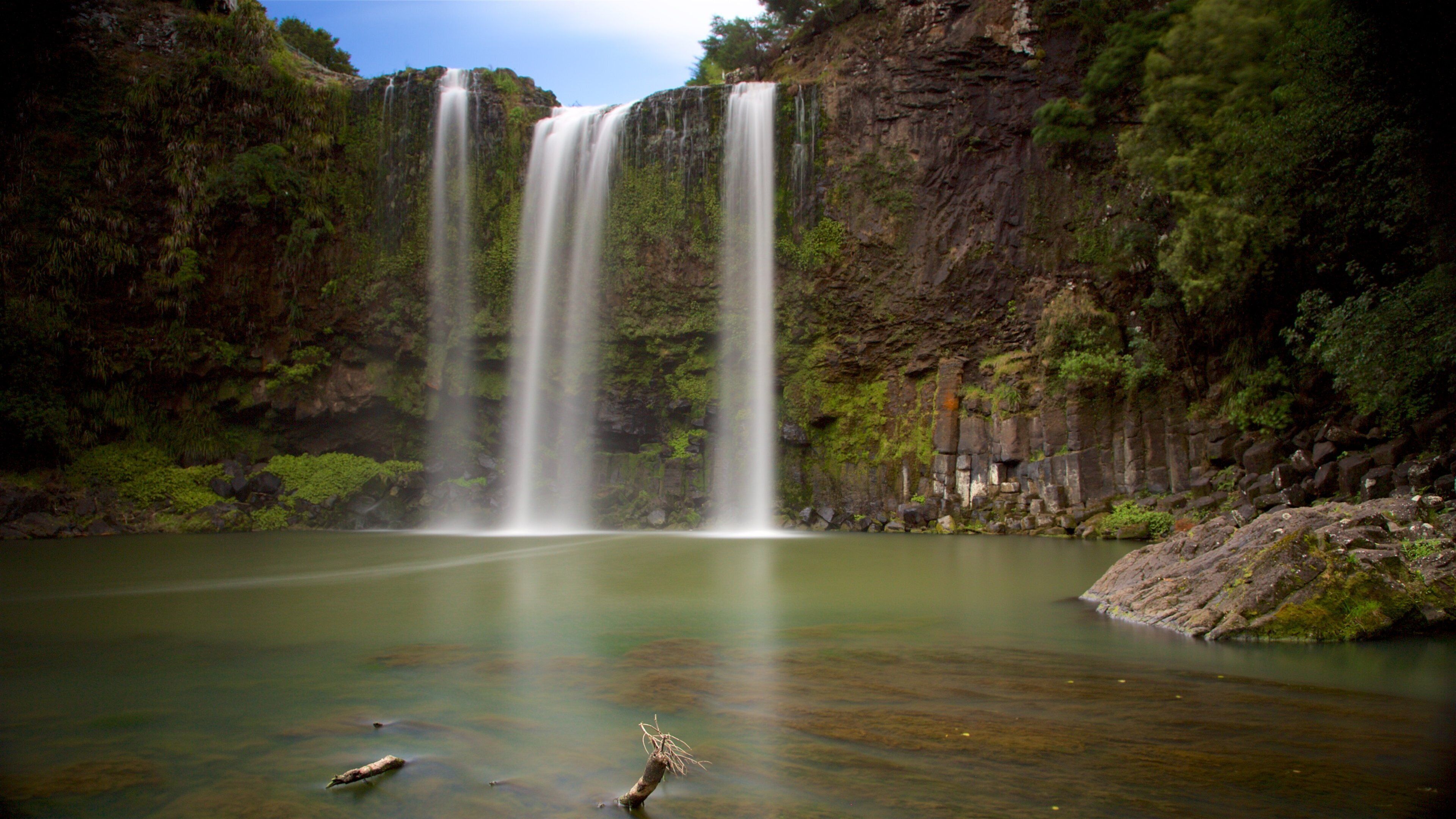 Whangarei Falls featuring a river or creek, a waterfall and forests