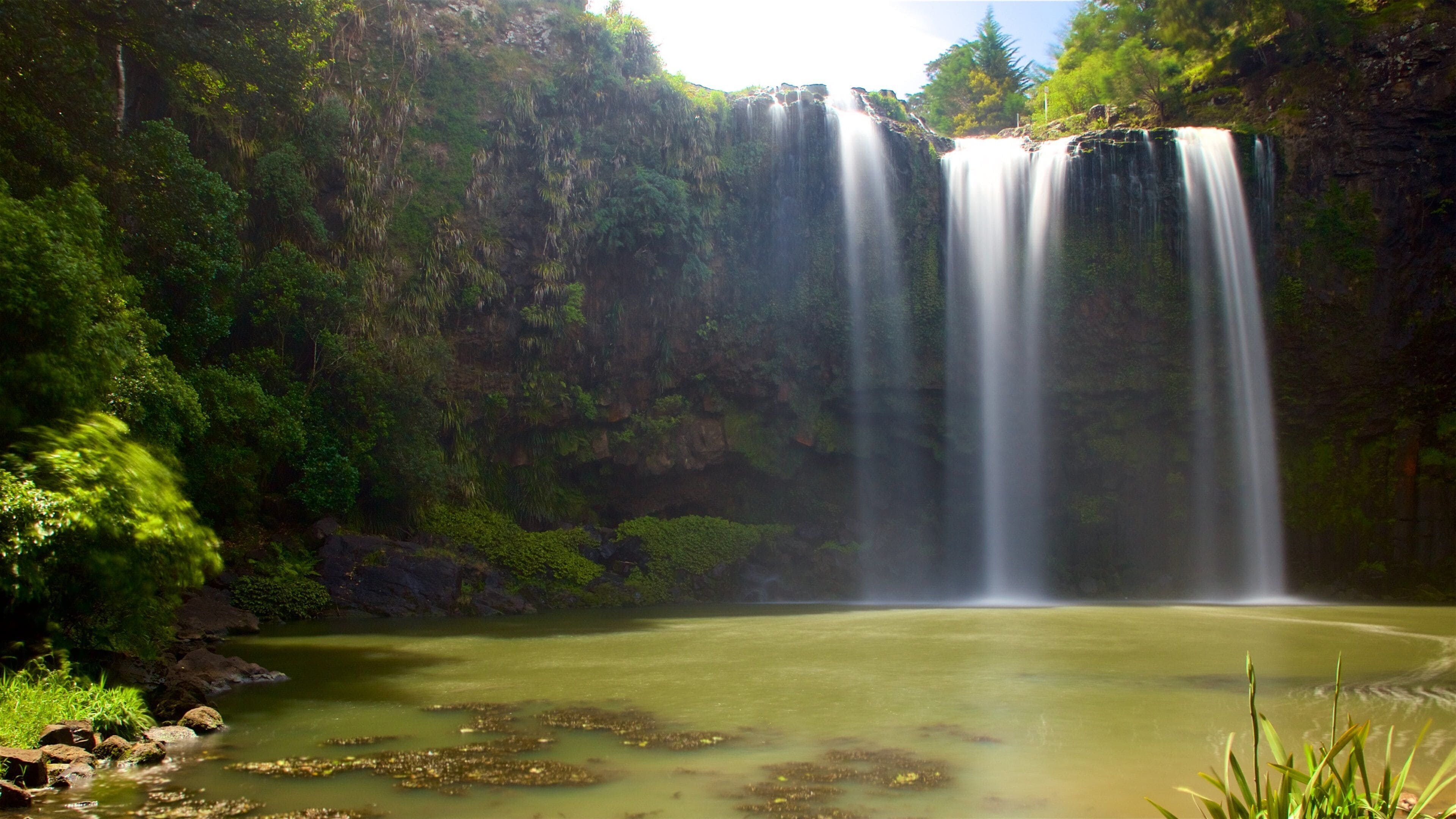 Whangarei Falls