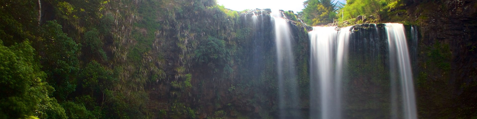 Whangarei Falls featuring a cascade and a river or creek
