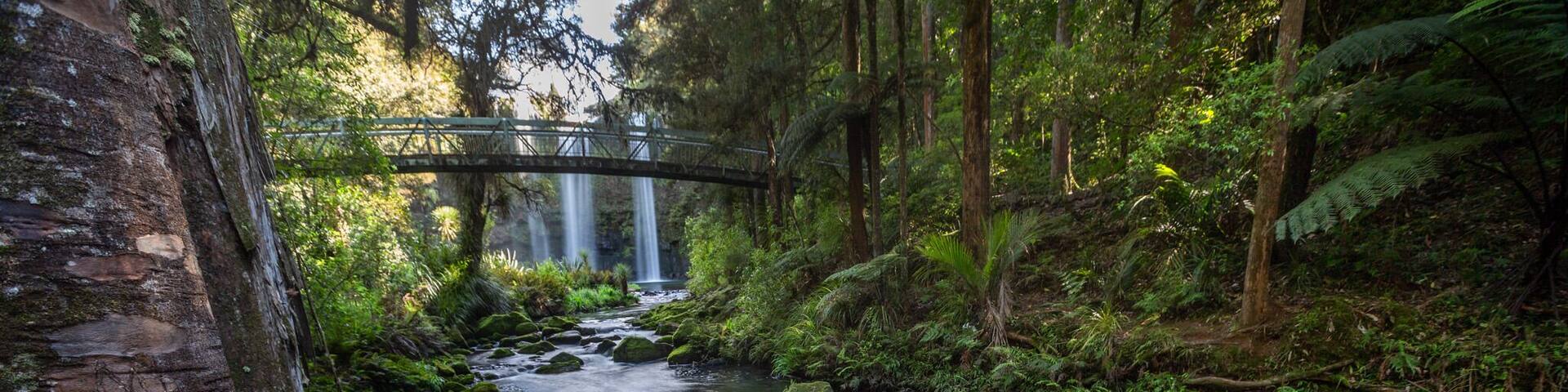 A forested area with a stream, a bridge, and a person in a green jacket.
