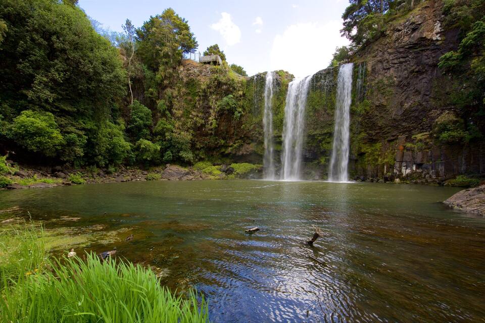 Een waterval stort in een rivier, omgeven door dicht bos.