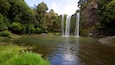 Whangarei Falls