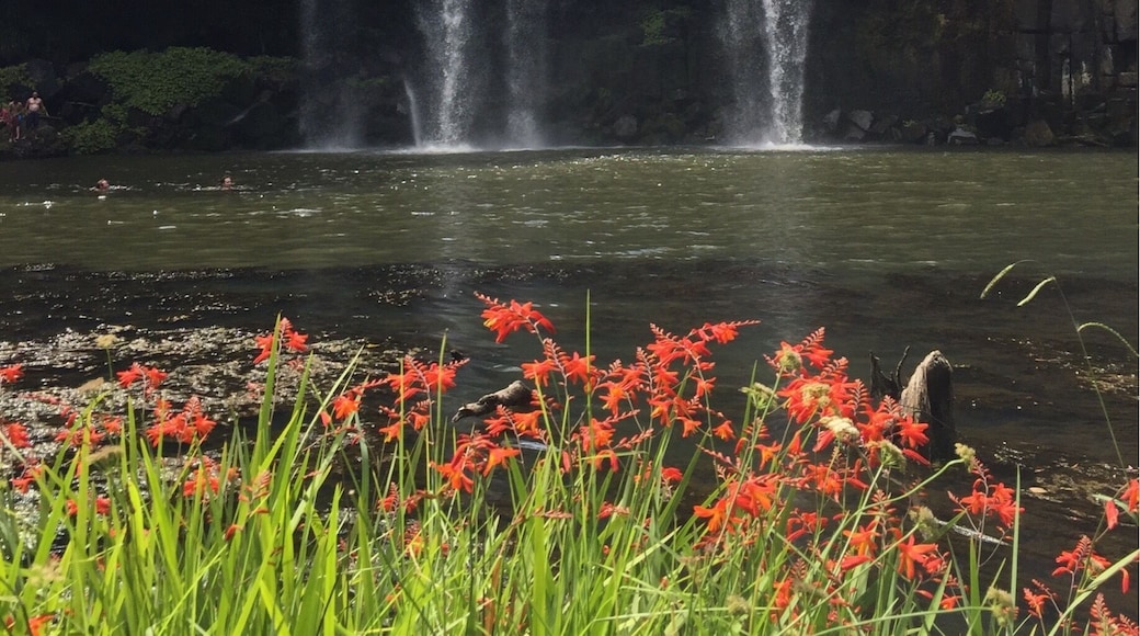 Definitely worth the stop!