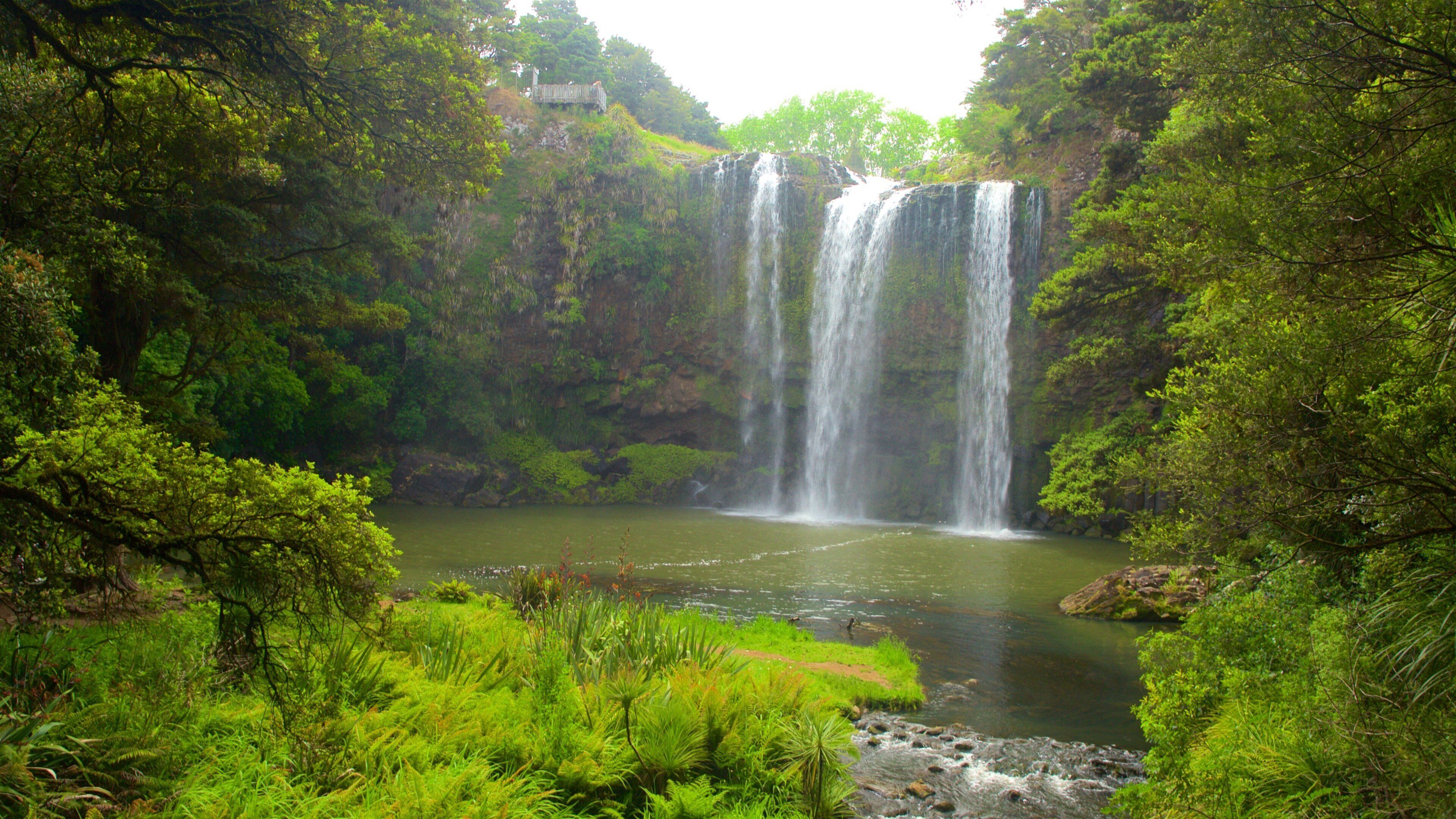 Whangarei Falls ofreciendo cataratas y un río o arroyo