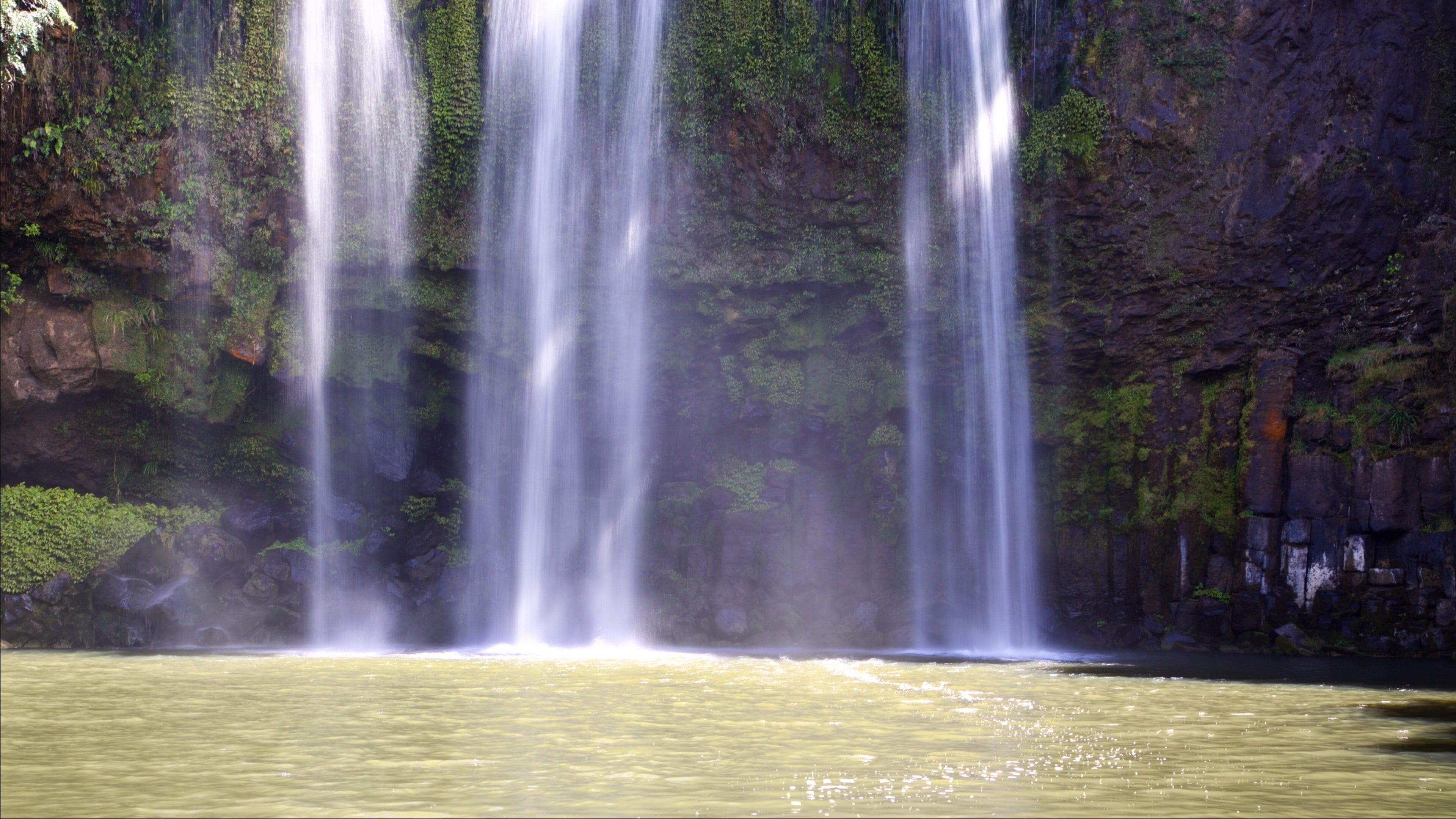 Whangarei Falls showing a cascade and a river or creek