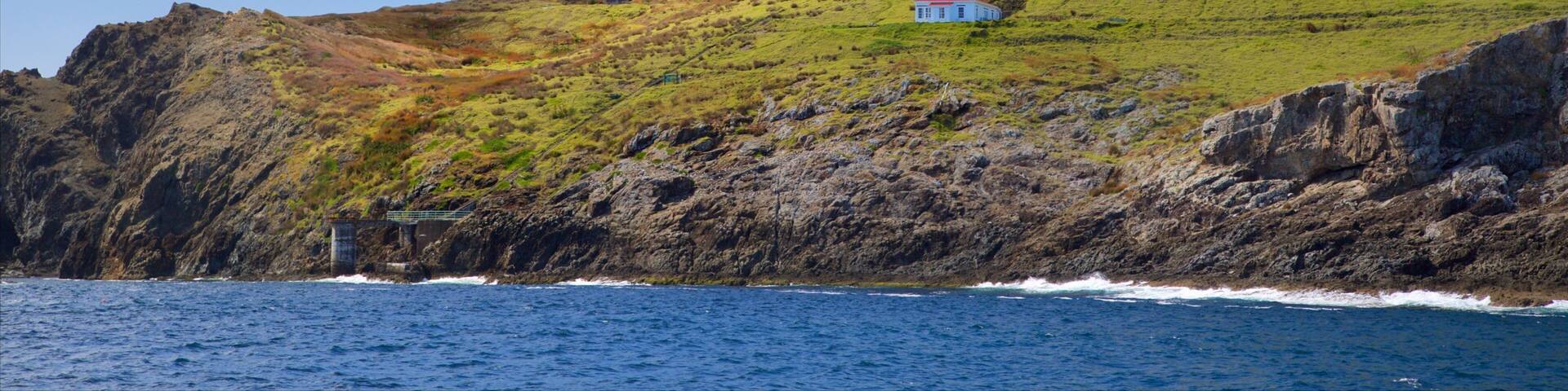 Cape Brett Lighthouse which includes a lighthouse, a bay or harbour and rocky coastline