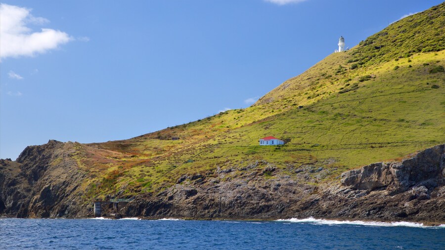 Cape Brett Lighthouse showing a bay or harbor, a lighthouse and rugged coastline