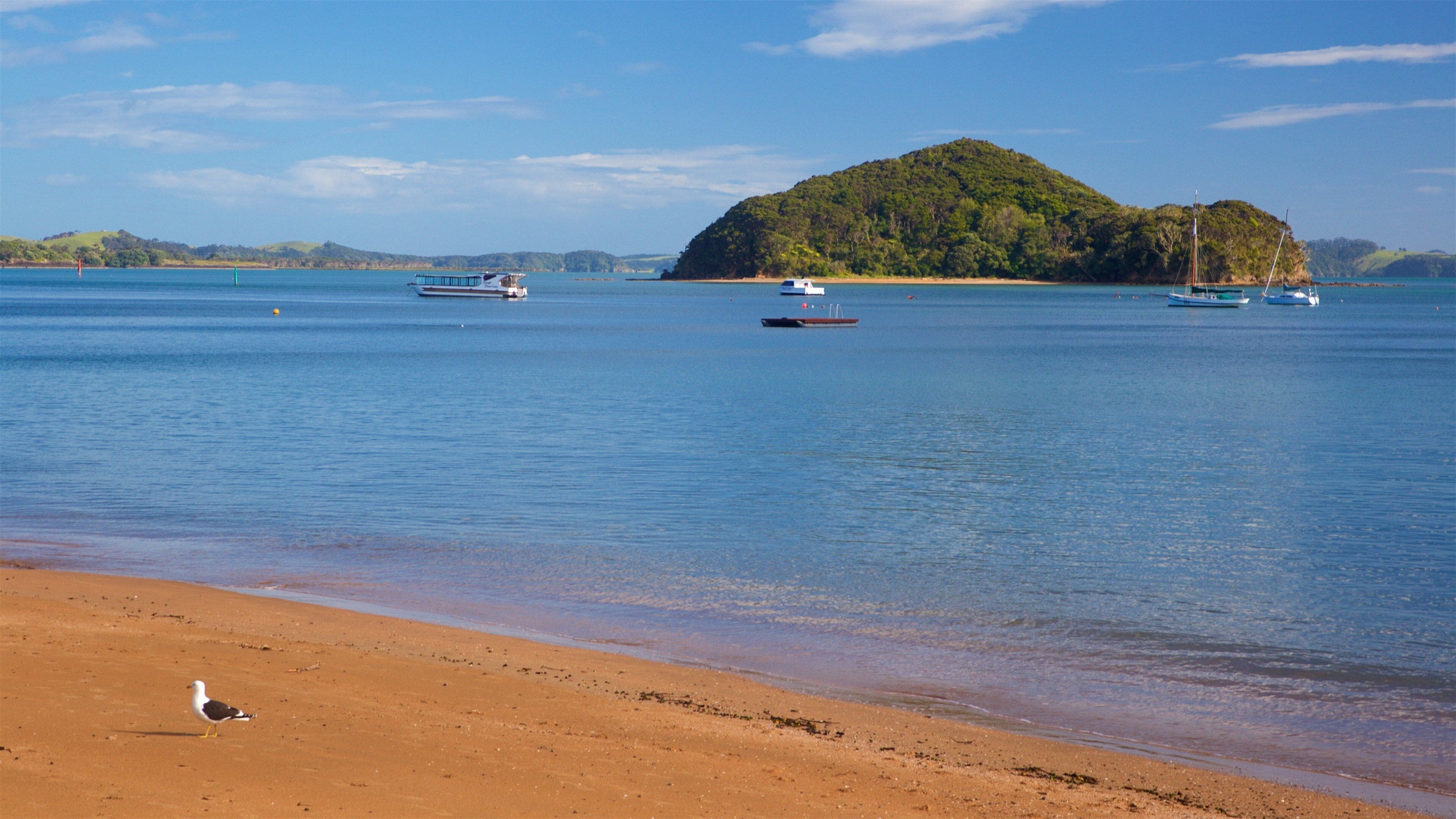 A beach with a seagull, calm water, boats, and a forested island.