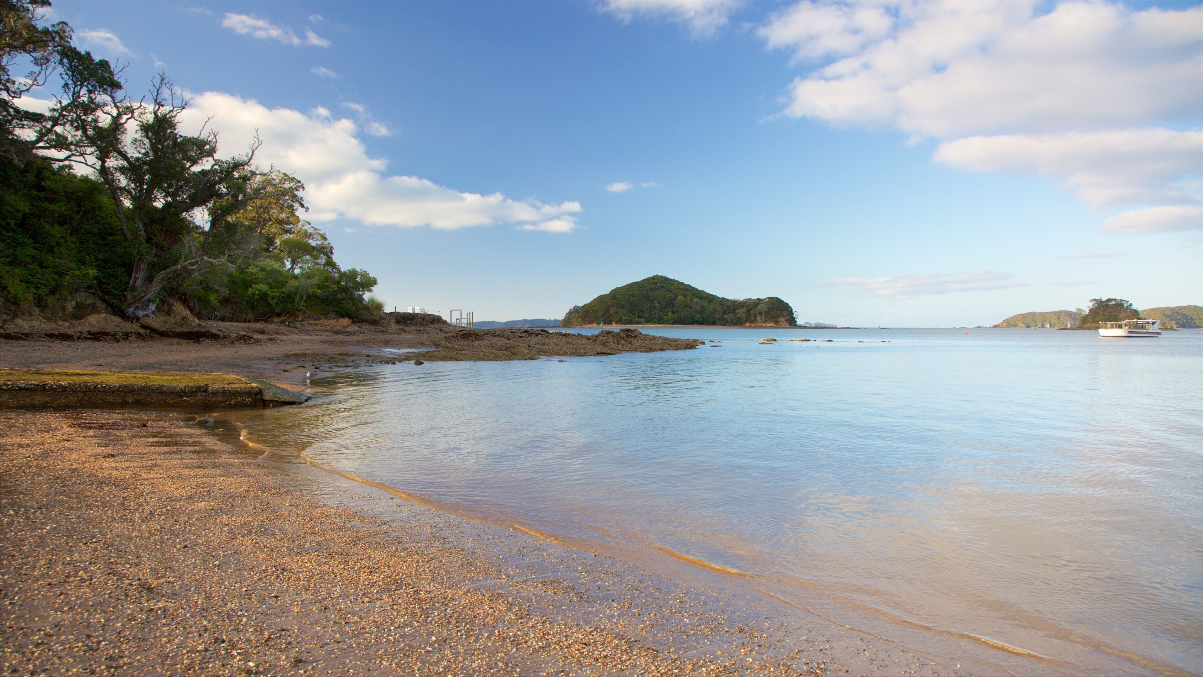 Paihia Beach featuring a pebble beach and a bay or harbour