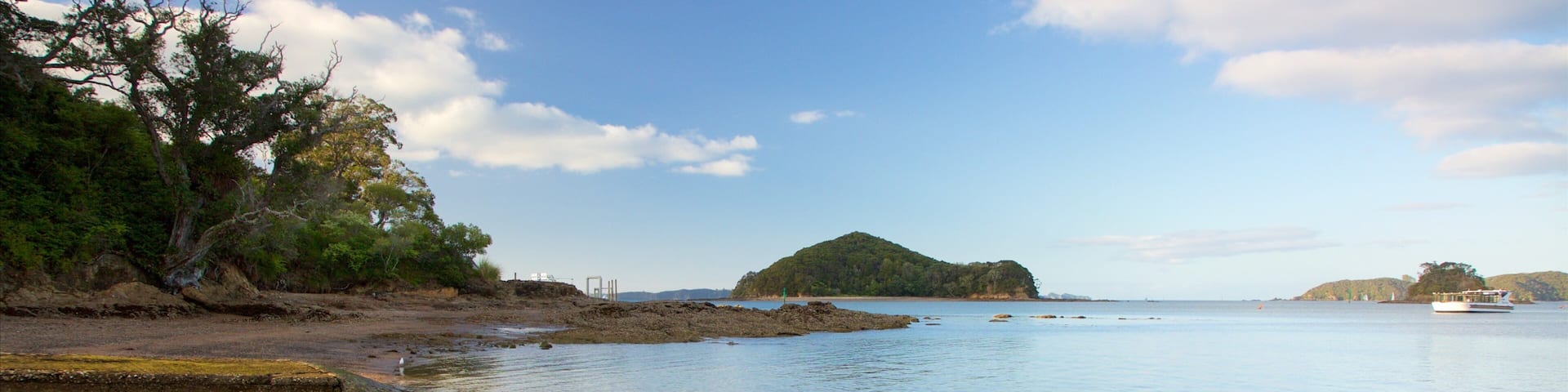 Paihia Beach showing a pebble beach and a bay or harbor
