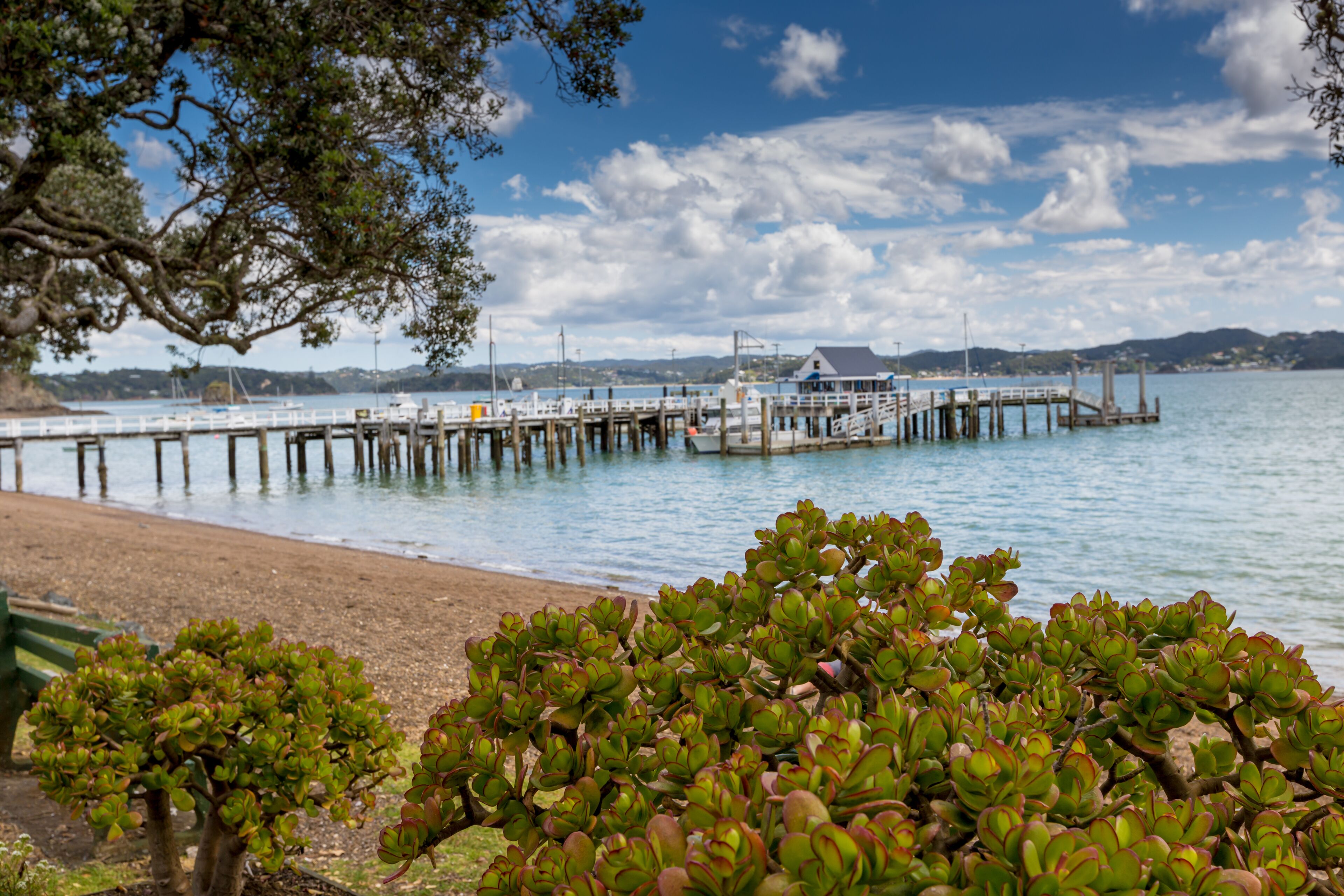 Landscape from Russell near Paihia, Bay of Islands, New Zealand; Shutterstock ID 233983969; Purchase Order: -