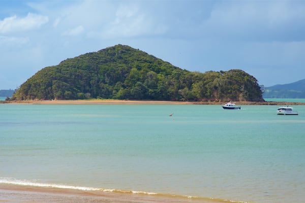Paihia Beach featuring island images, a beach and general coastal views