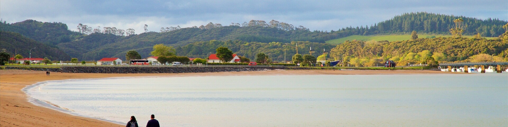 Paihia Beach showing a bay or harbor, a sandy beach and a coastal town