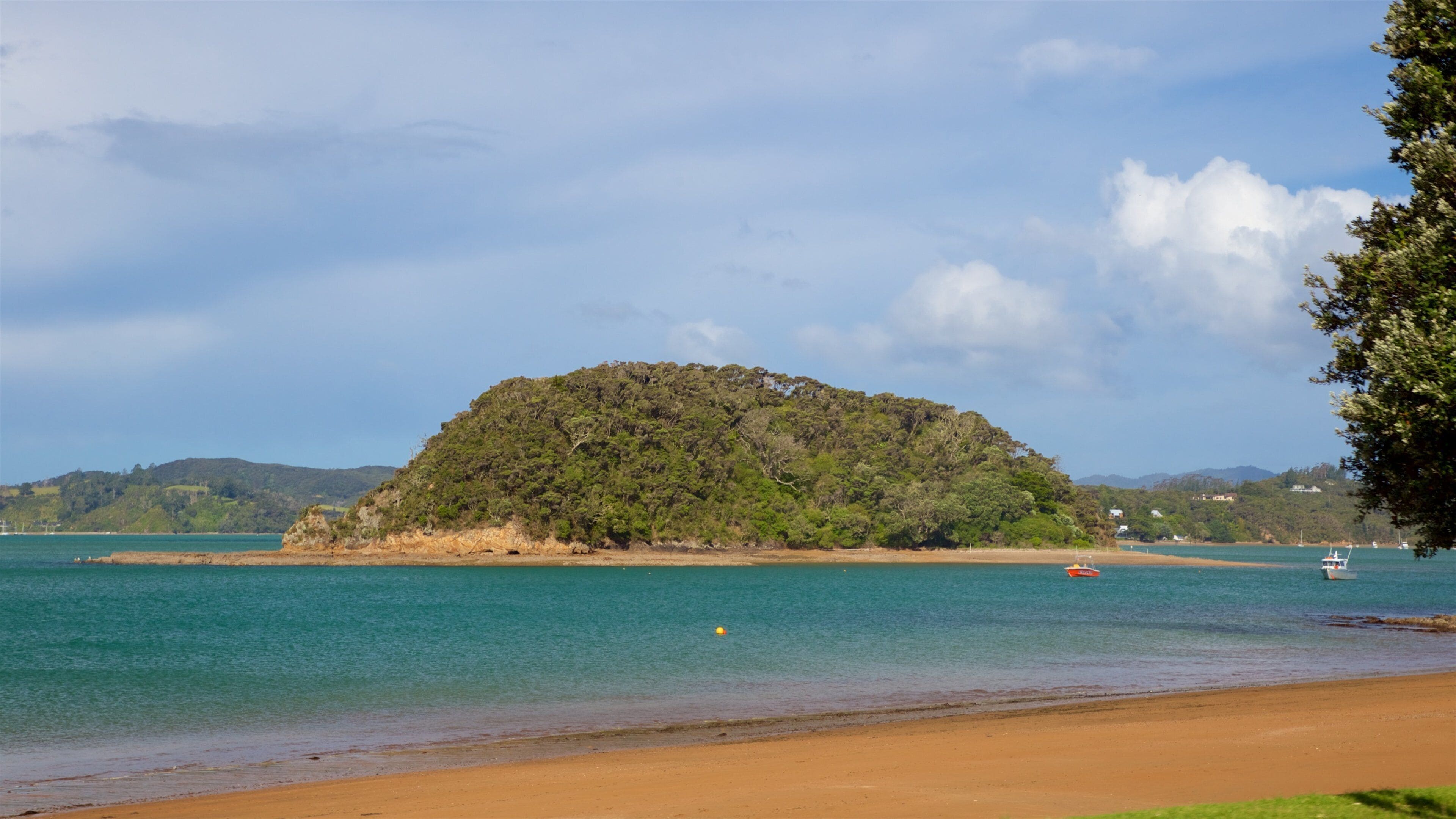 Paihia Beach which includes general coastal views, island images and a beach