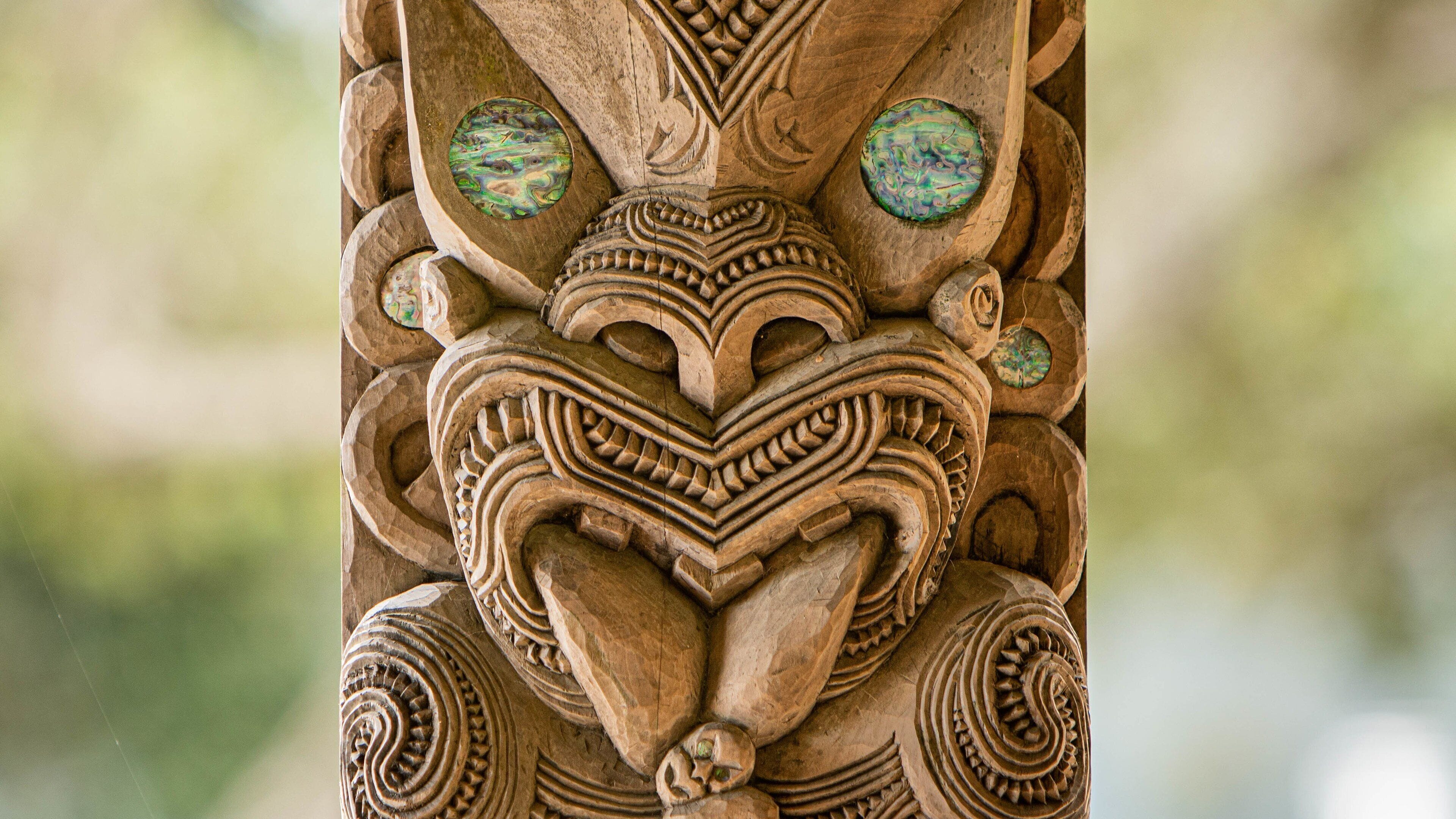 Waitangi Treaty Grounds which includes indigenous culture