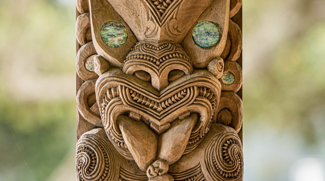 Waitangi Treaty Grounds which includes indigenous culture