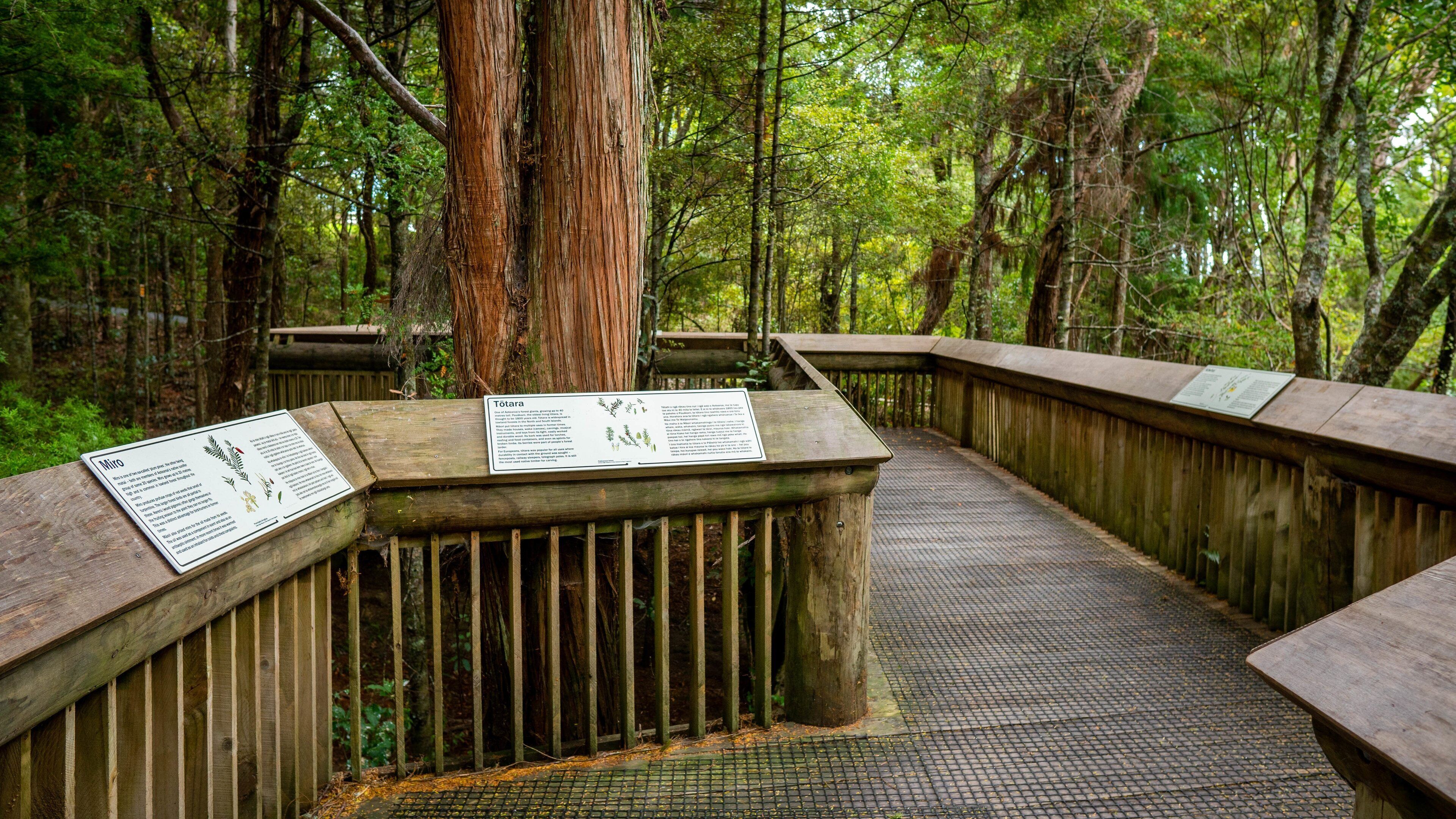 Waitangi Treaty Grounds which includes a park, forests and signage