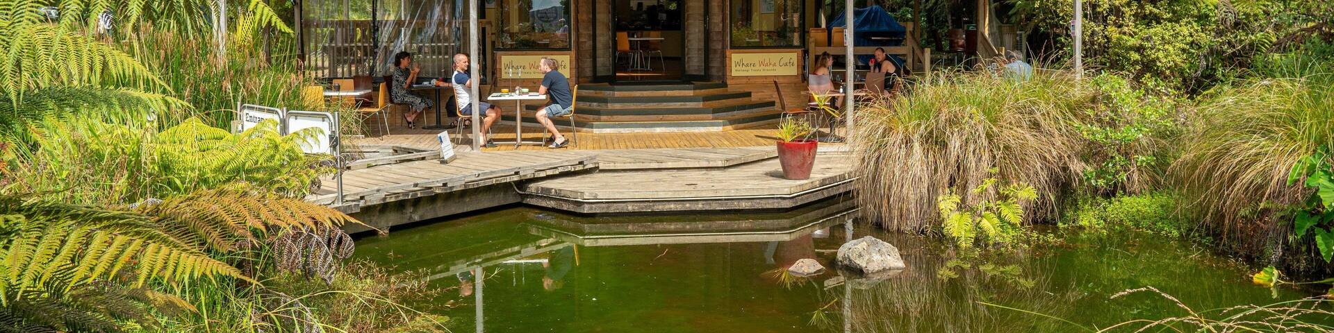 Waitangi Treaty Grounds featuring a pond
