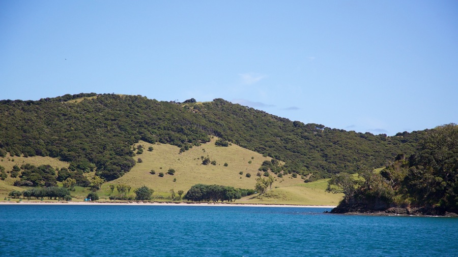 Russell som viser rolig landskap og bukt eller havn
