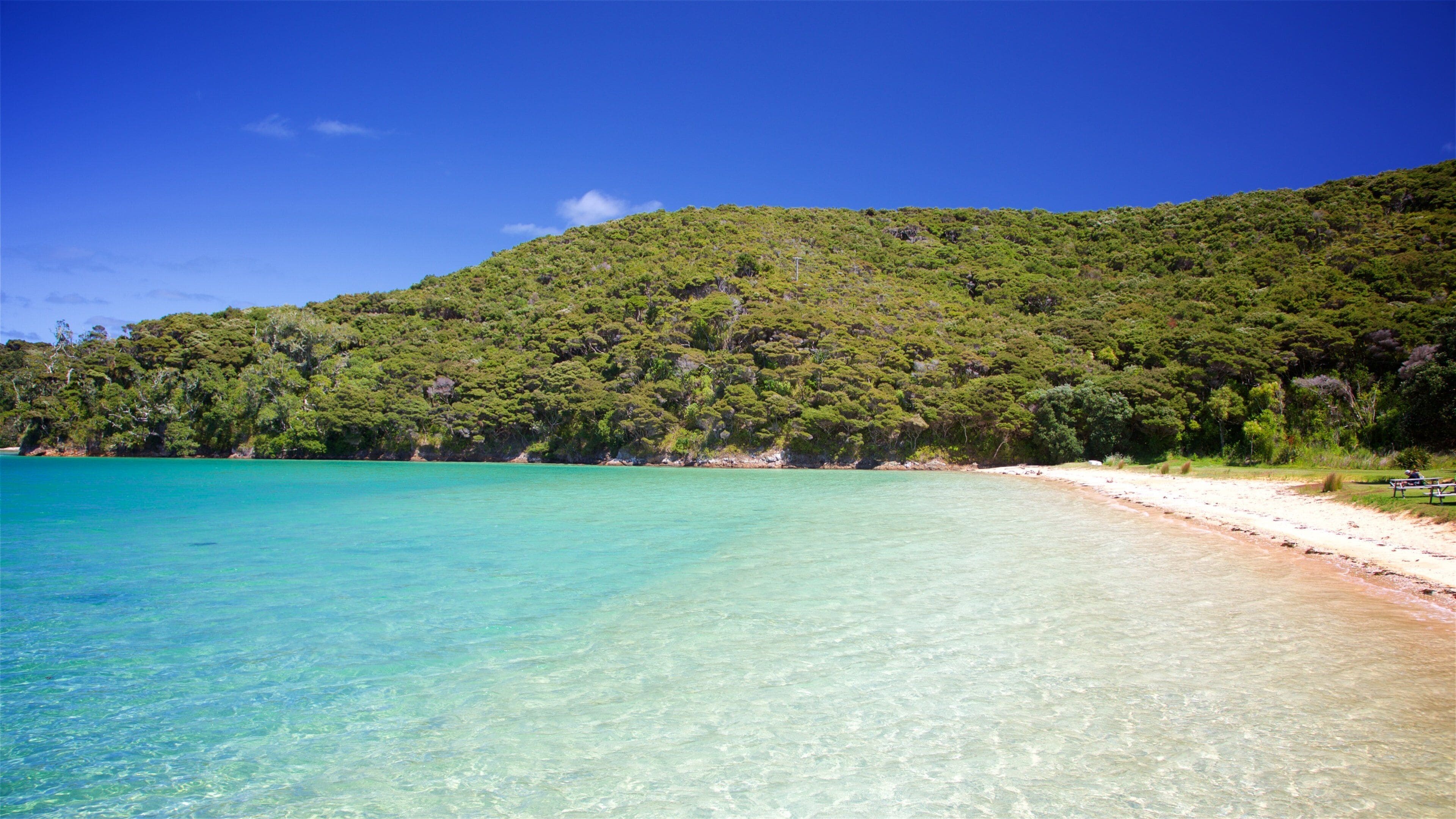 A clear turquoise sea, a sandy beach, and a forested hill.