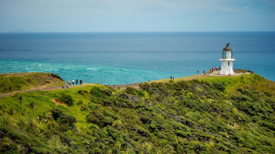 Cape Reinga Lighthouse which includes a lighthouse and general coastal views