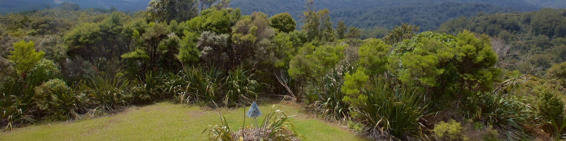 Waipoua Forest featuring tranquil scenes and landscape views