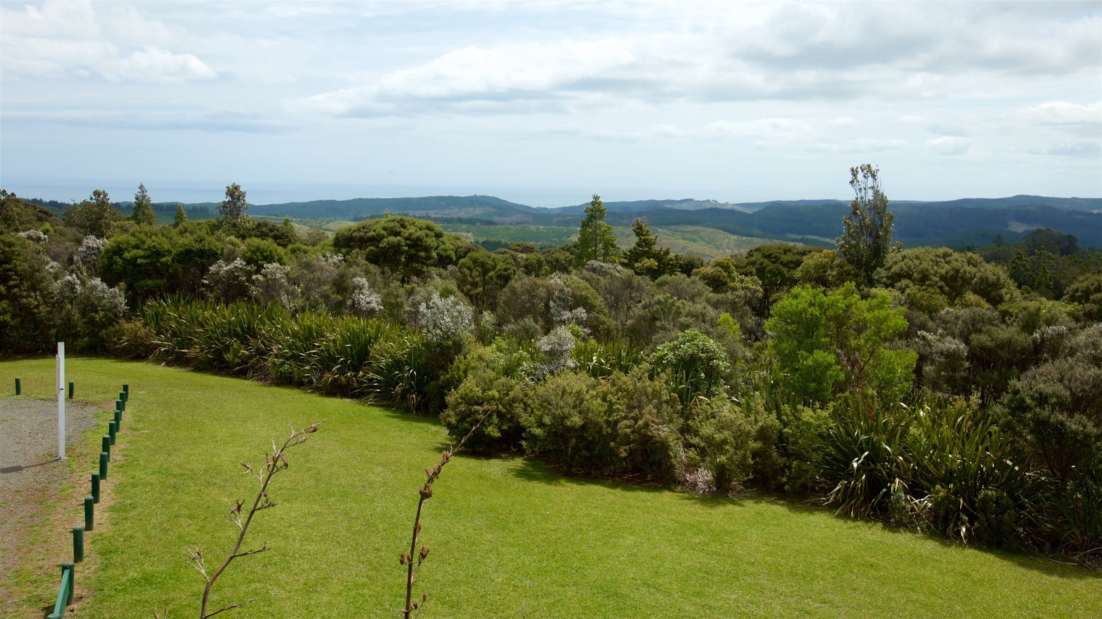 Waipoua Forest caracterizando paisagem e cenas tranquilas