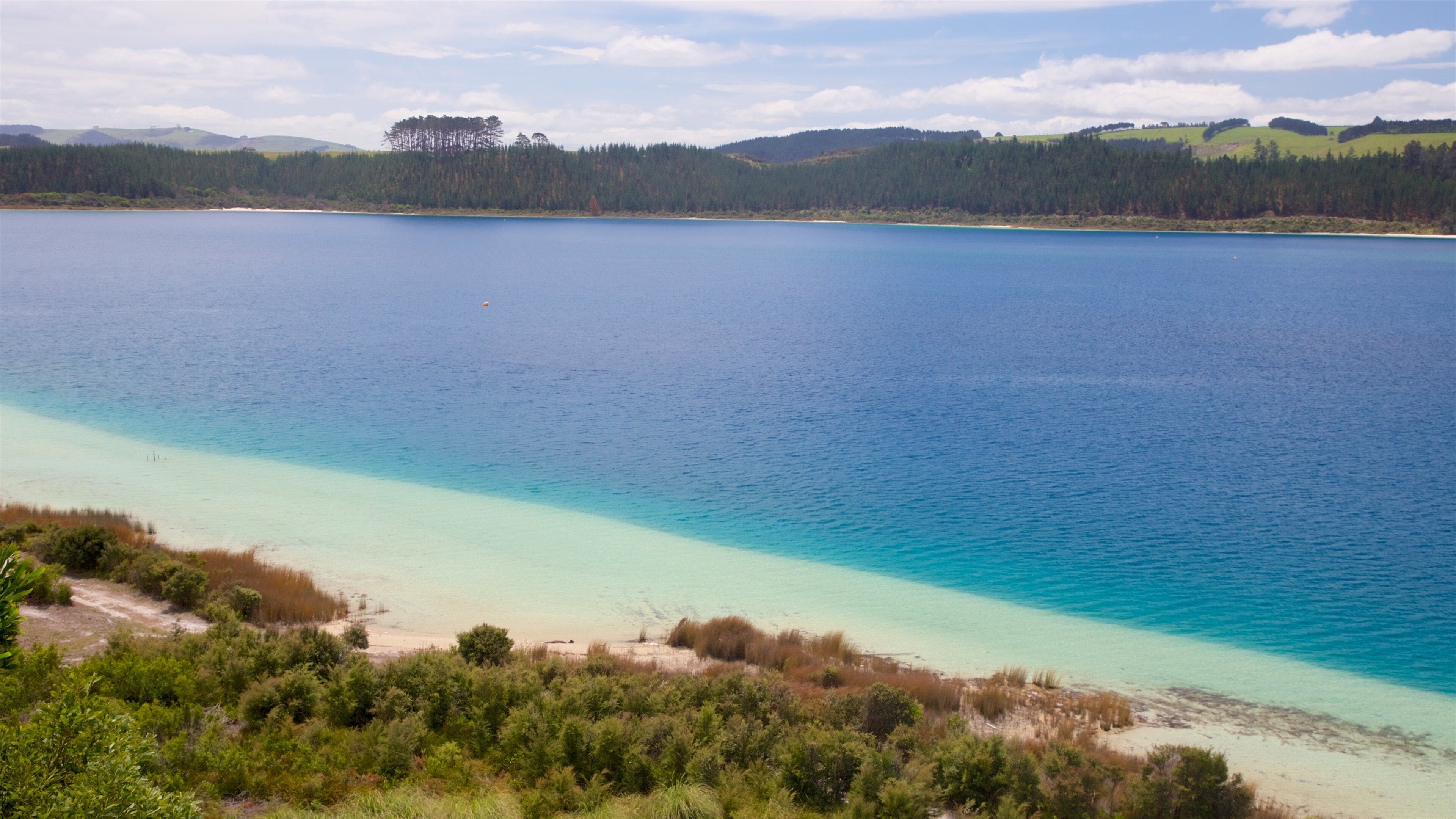 Kai Iwi Lakes showing a bay or harbor and tranquil scenes