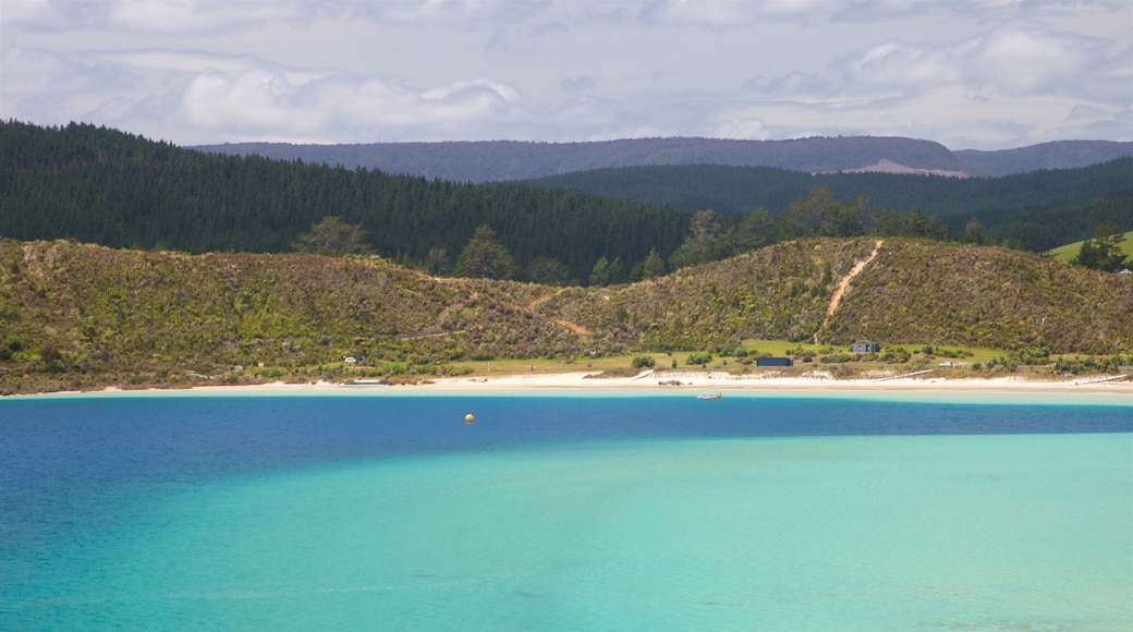 Kai Iwi Lakes showing a bay or harbor and tranquil scenes