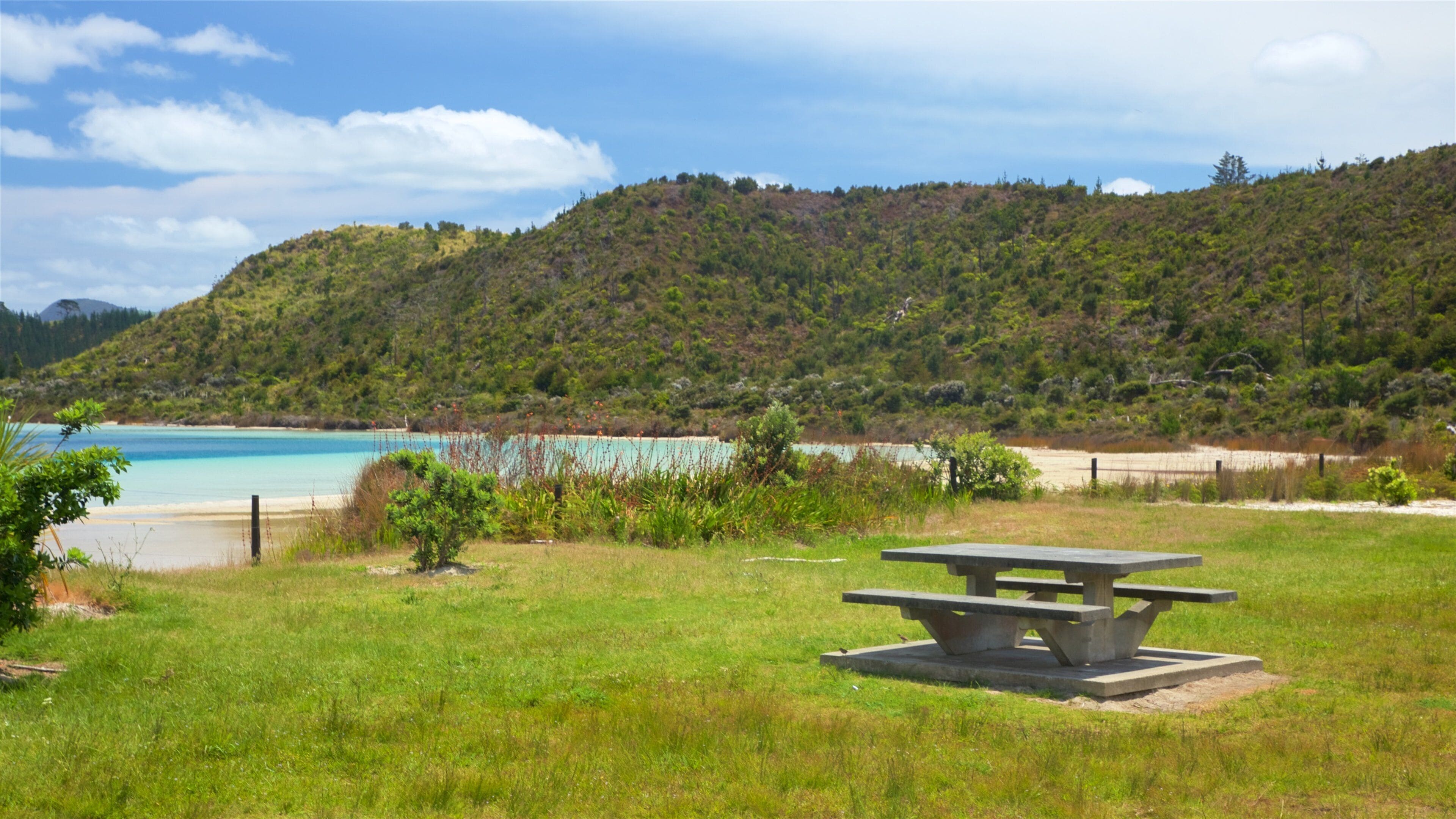 Kai Iwi Lakes fasiliteter samt bukt eller havn og park