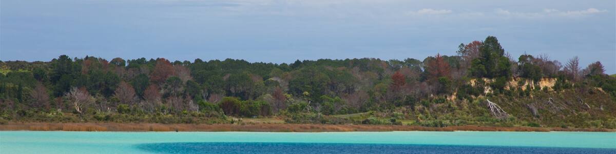 A beach with clear turquoise waters, sandy shore, and a forested hill in the background.