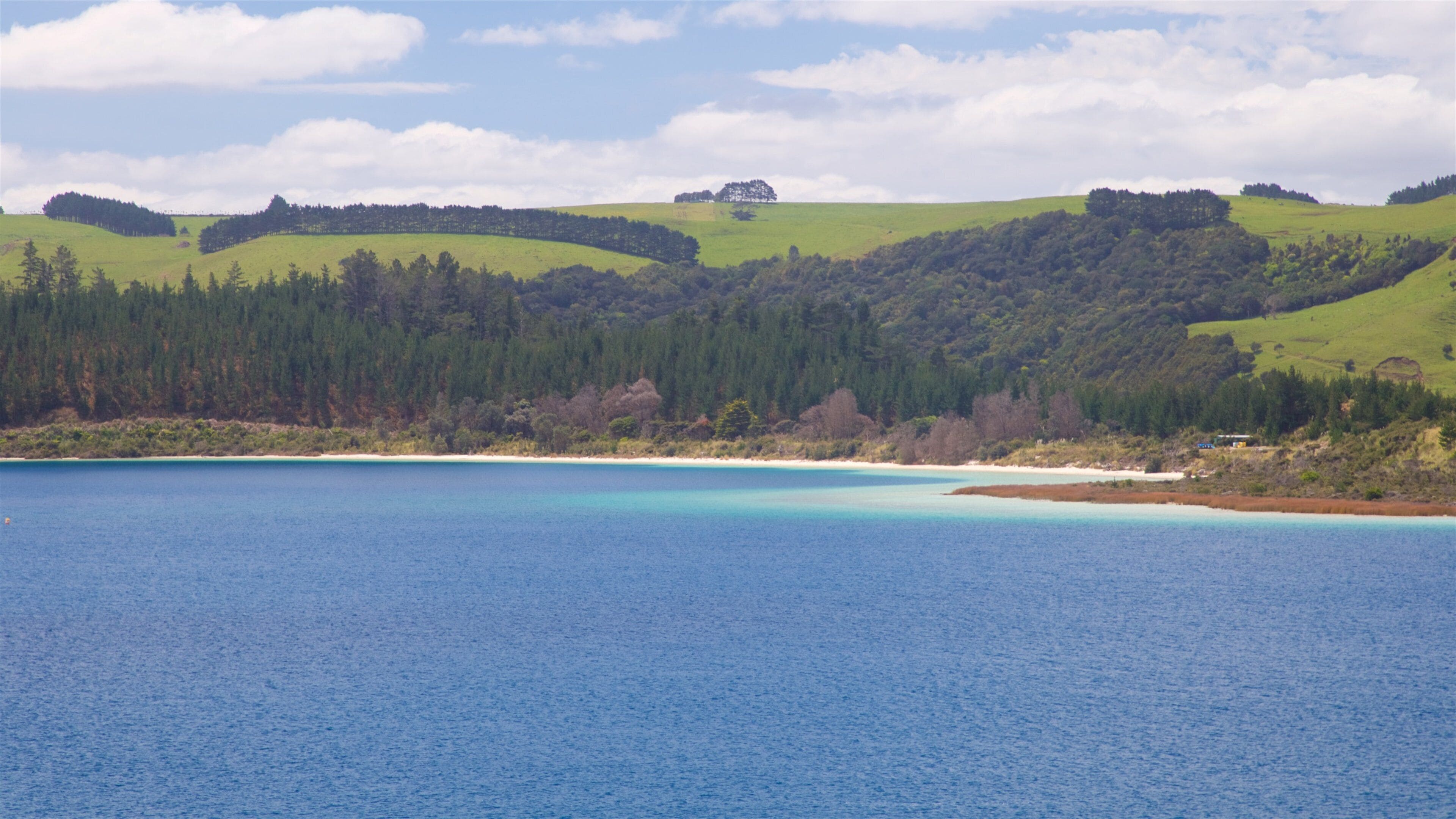 Kai Iwi Lakes showing tranquil scenes and a bay or harbor