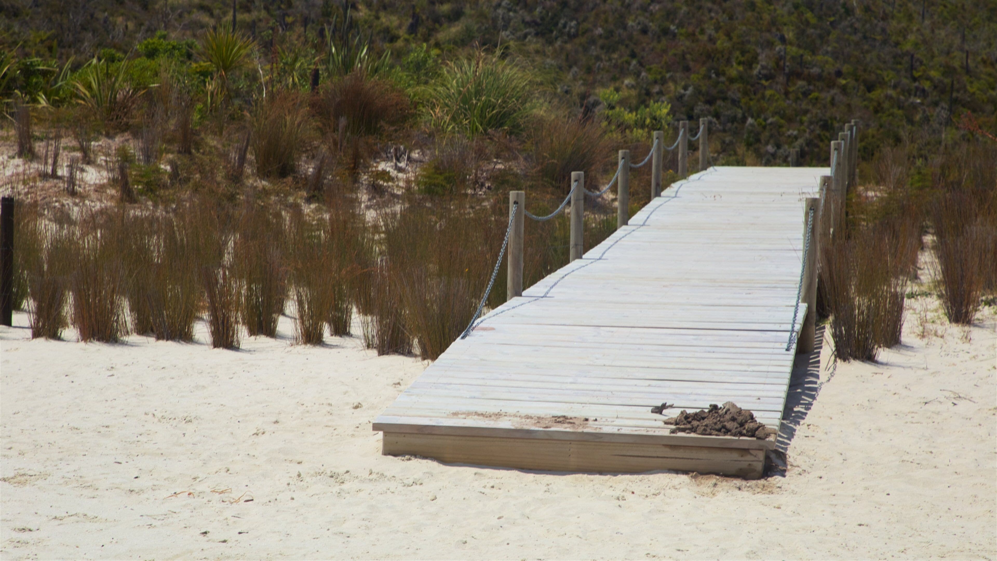 Kai Iwi Lakes fasiliteter samt strand