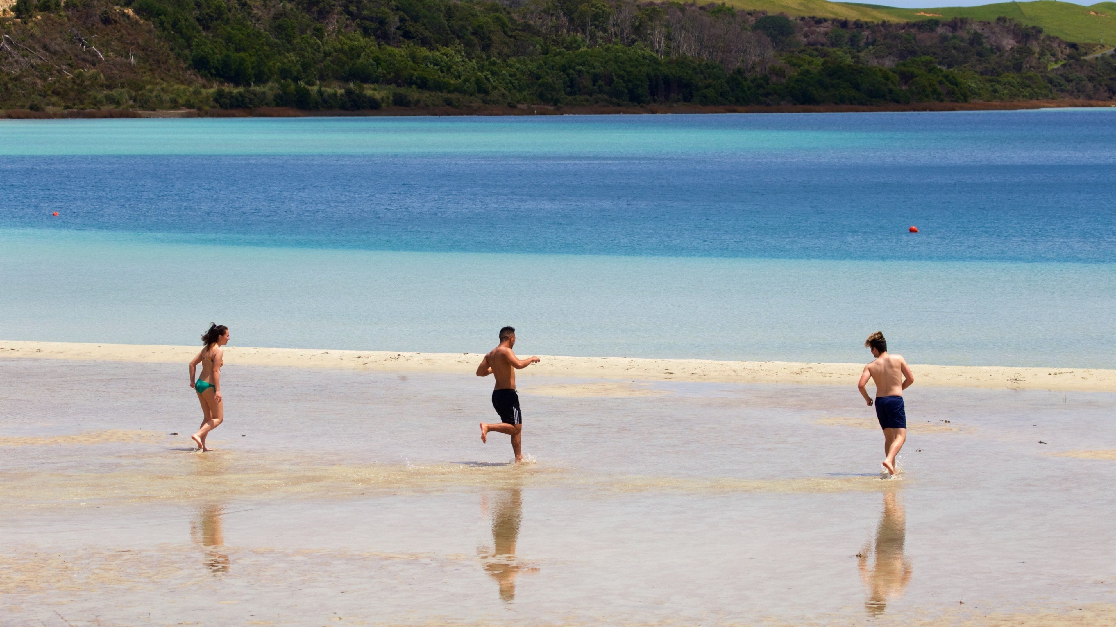 Kai Iwi Lakes showing a bay or harbor and a sandy beach as well as a small group of people