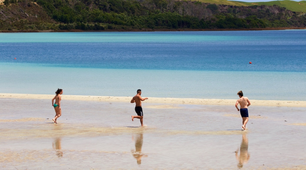 Kai Iwi Lakes showing a bay or harbor and a sandy beach as well as a small group of people