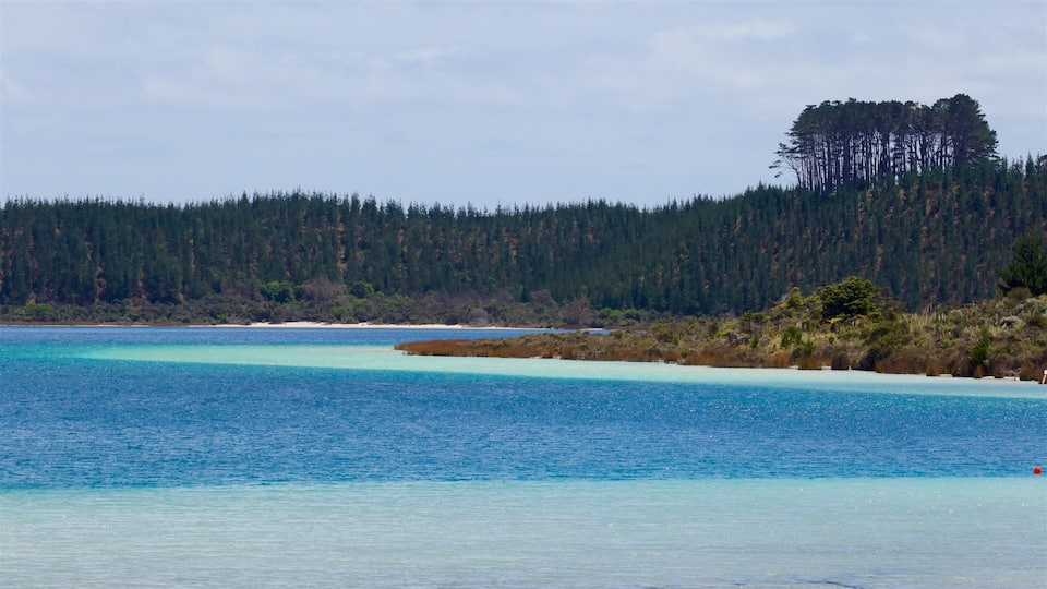 A coastal landscape with clear turquoise waters, sandy beaches, and dense forest in the background.