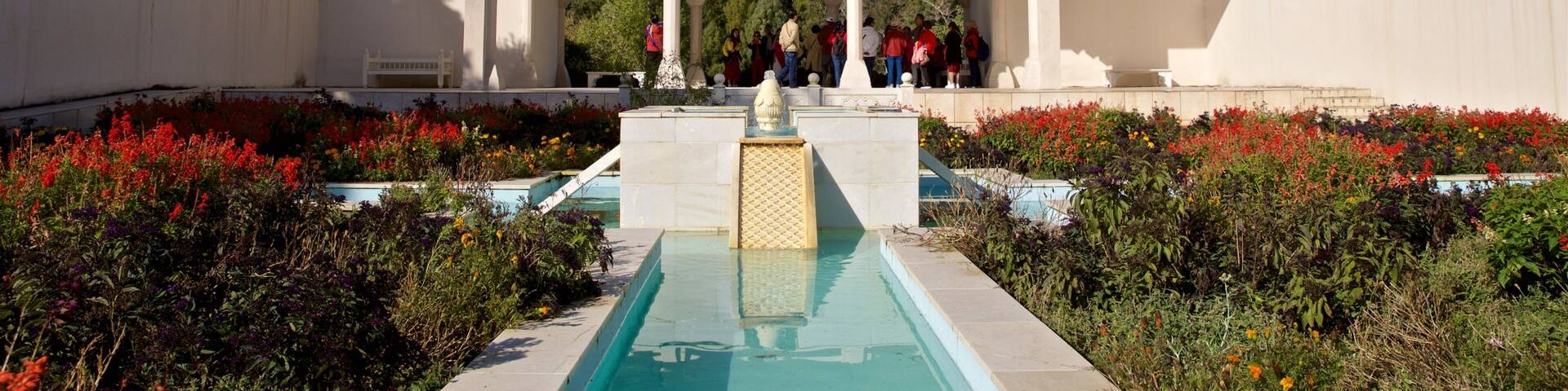 Hamilton Gardens showing a fountain, wildflowers and a garden