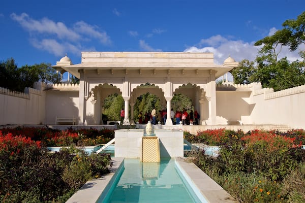 Hamilton Gardens showing a fountain, wildflowers and a garden