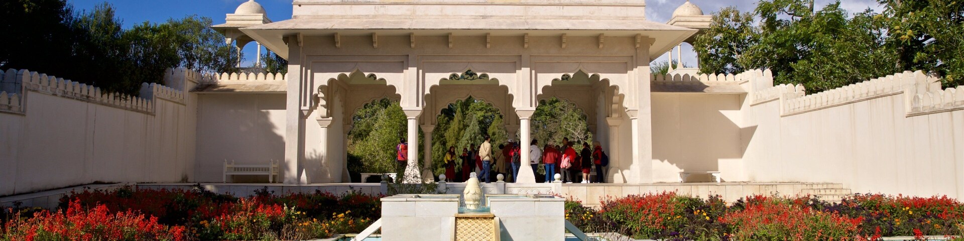Hamilton Gardens showing a fountain, wildflowers and a garden