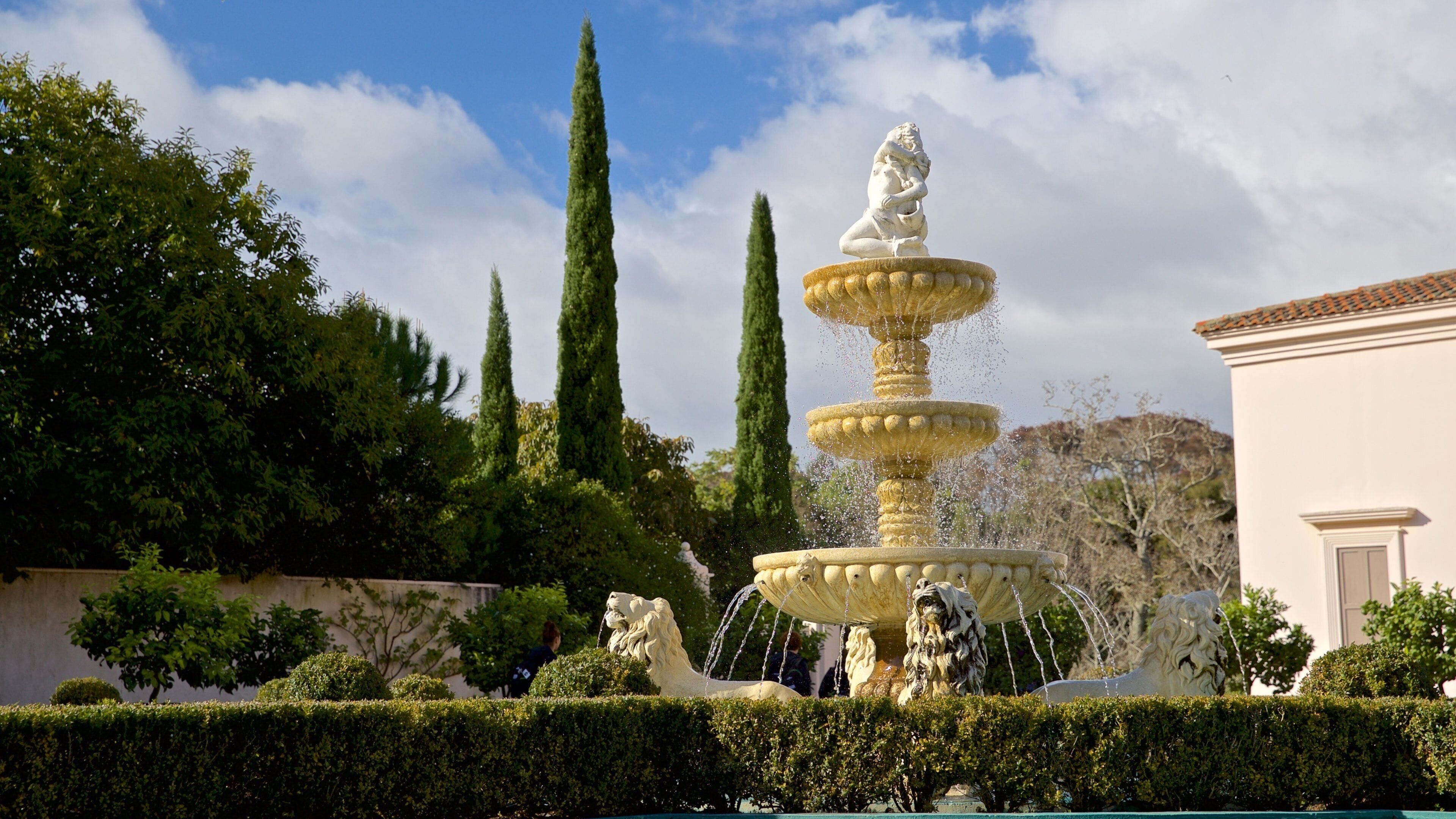 Hamilton Gardens which includes a garden and a fountain